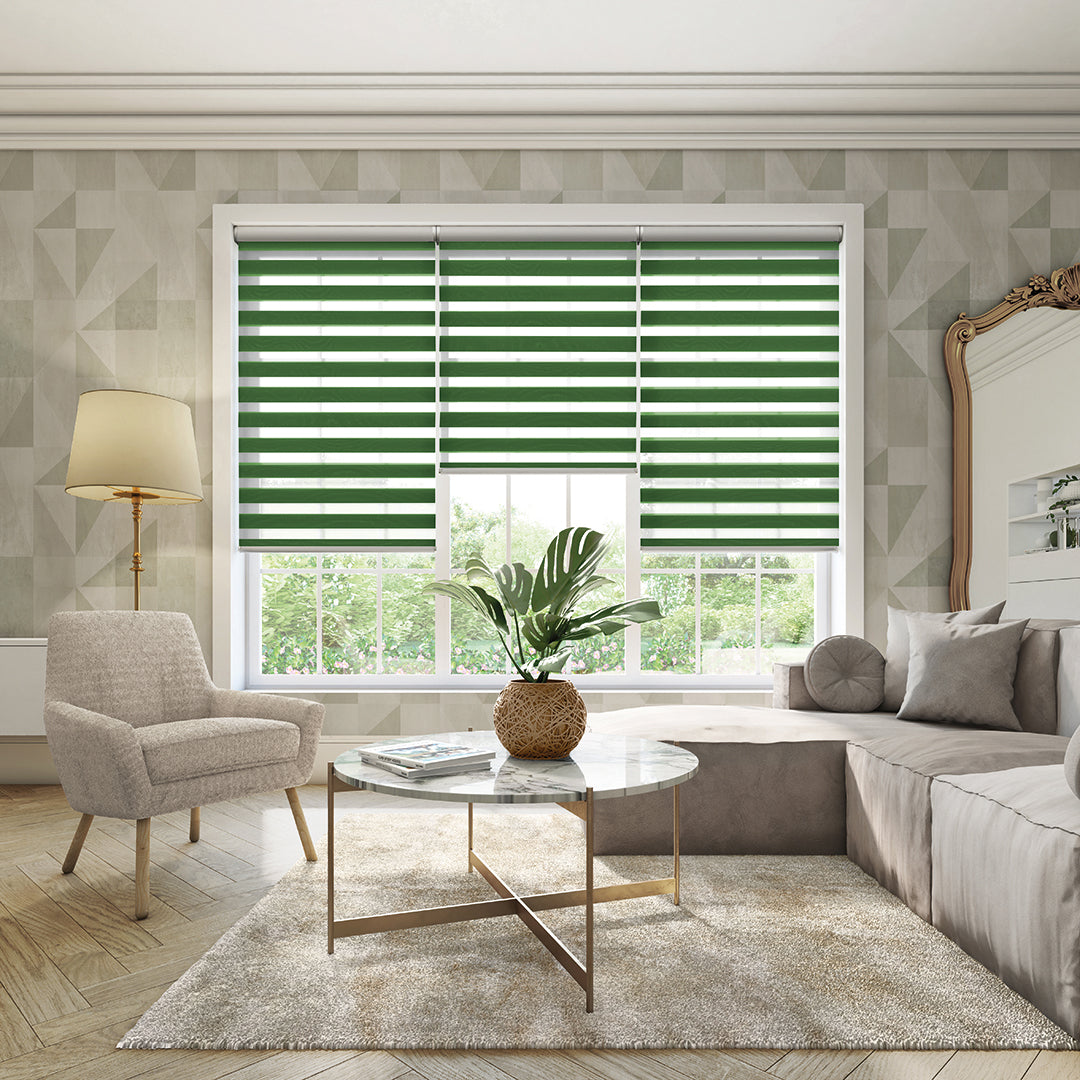 Vision Blinds